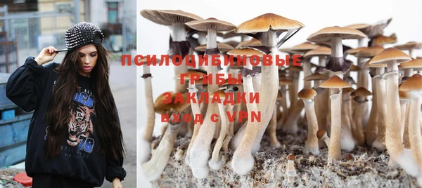 mdma Новозыбков