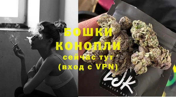 винт Няндома
