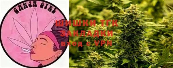 mdma Новозыбков
