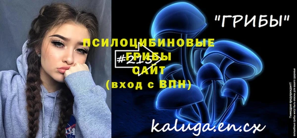 гидра Нязепетровск
